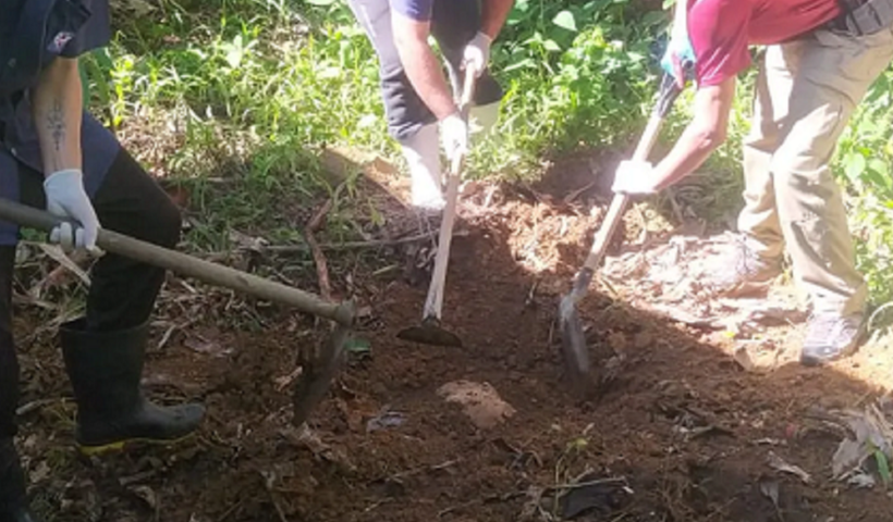 Homem mata vizinho e enterra no quintal de sua casa; a confissão foi feita durante uma terapia em Ubatuba