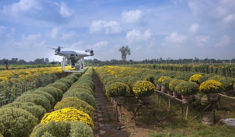 Agronegócio de São Paulo registra superávit de US$ 20,65 bi