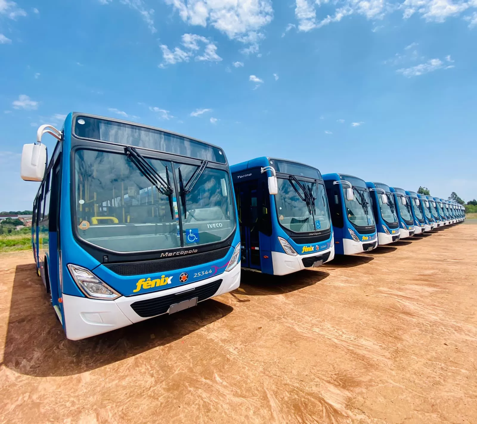 Transporte Público de Caraguatatuba seguirá sendo operado pela Expresso Fênix