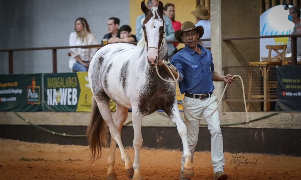 18ª edição do Feicampo também é destaque na Agenda Cultural no Vale deste final de semana