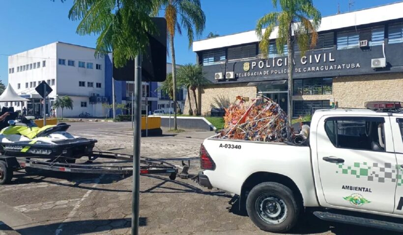 Homem é multado em R$ 10 mil por perseguição e tentativa de captura de balão no mar