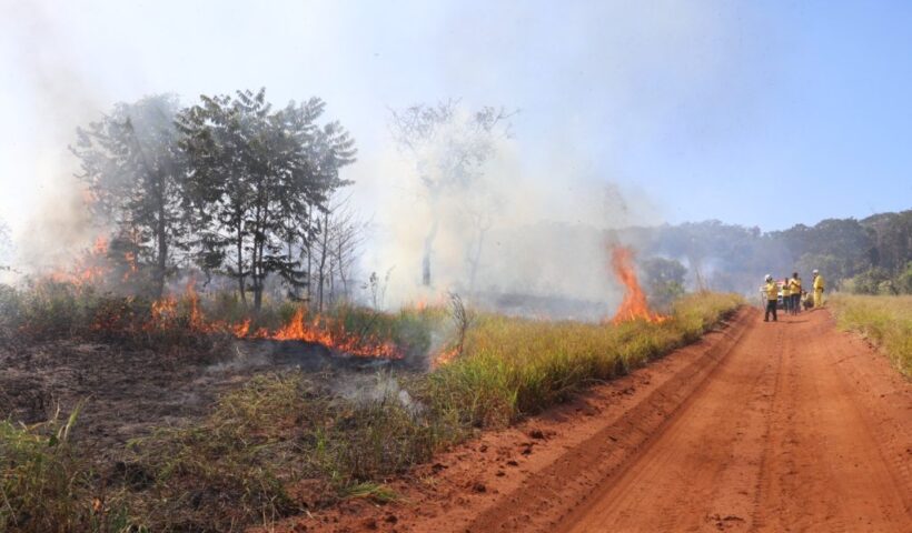 Campanha SP sem Fogo é lançada devido ao aumento da possibilidade de queimadas, em razão do clima mais seco