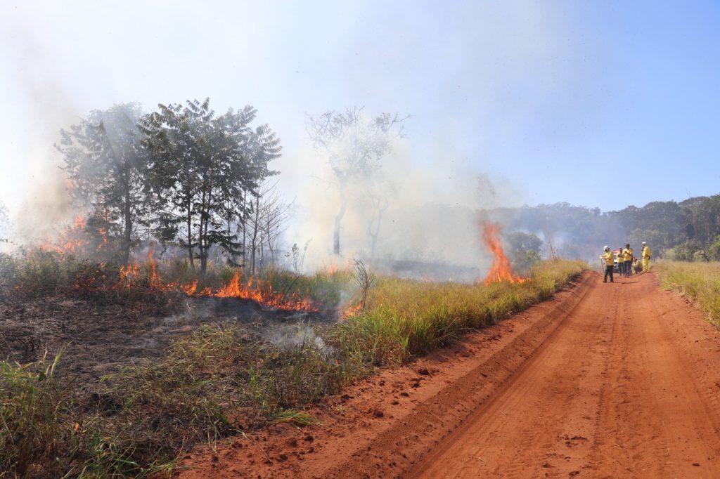 Campanha SP sem Fogo é lançada devido ao aumento da possibilidade de queimadas, em razão do clima mais seco