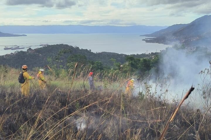 Grande incêndio em área florestal mobiliza equipes de emergência em Ilhabela