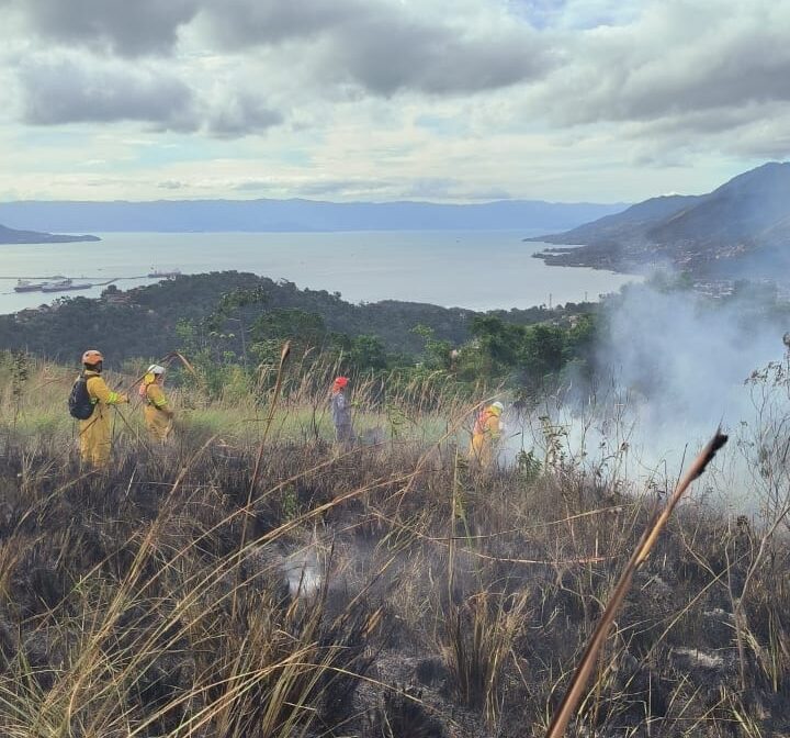 Grande incêndio em área florestal mobiliza equipes de emergência em Ilhabela