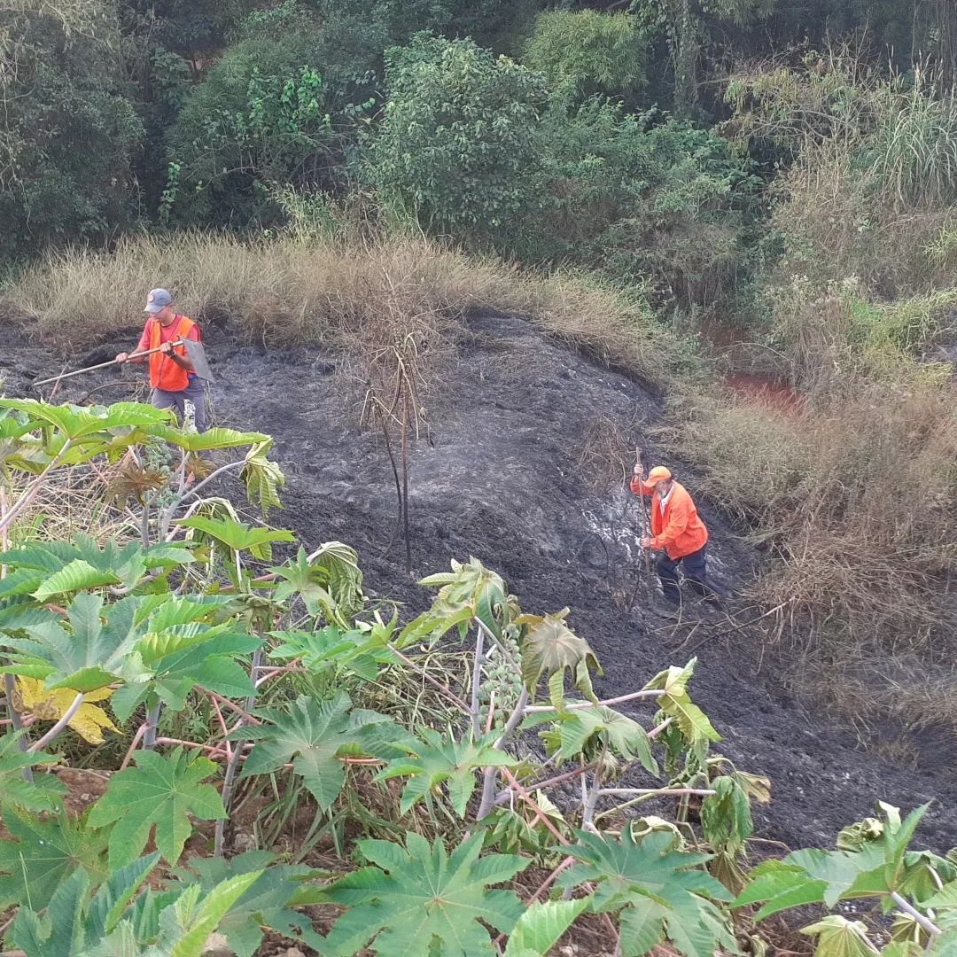 Incêndios em vegetação mobilizam Defesa Civil em Taubaté