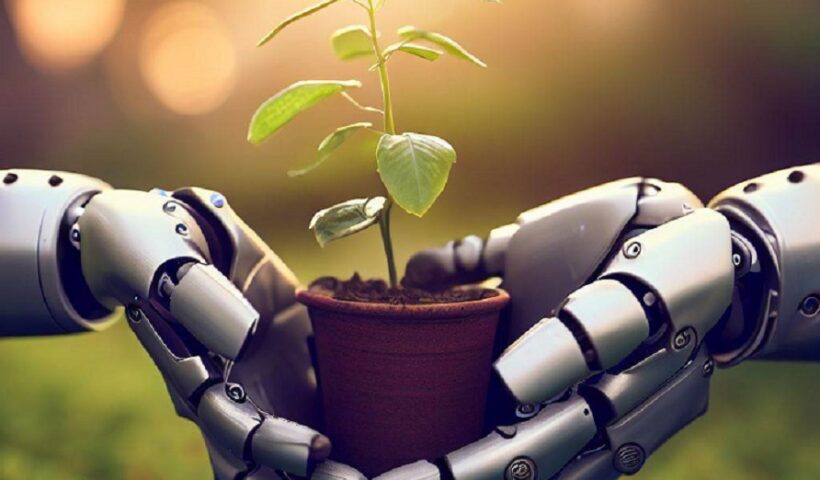 Mãos robóticas segurando uma planta, em alusão ao ecossistema de inovação que se tornou SJC