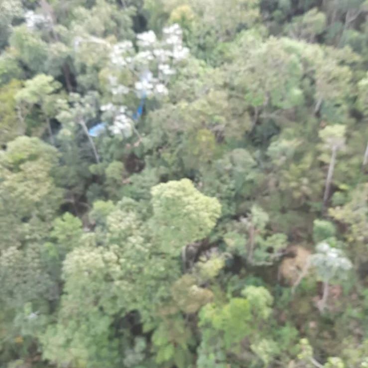 Homem fica preso após cair em área de mata no Pico Agudo