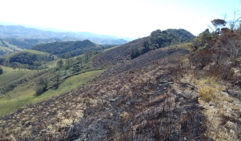 Dona de fazenda é multada pela PM Ambiental por atear fogo em pasto da própria fazenda