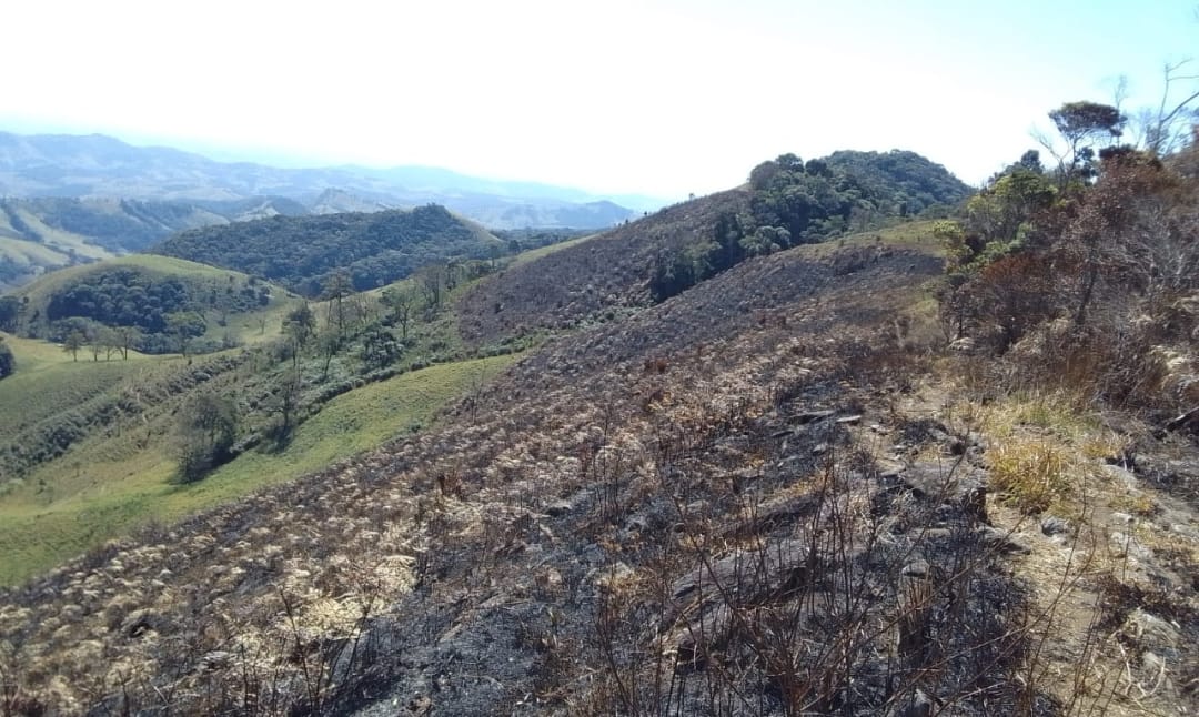 Dona de fazenda é multada por atear fogo em pasto da própria fazenda