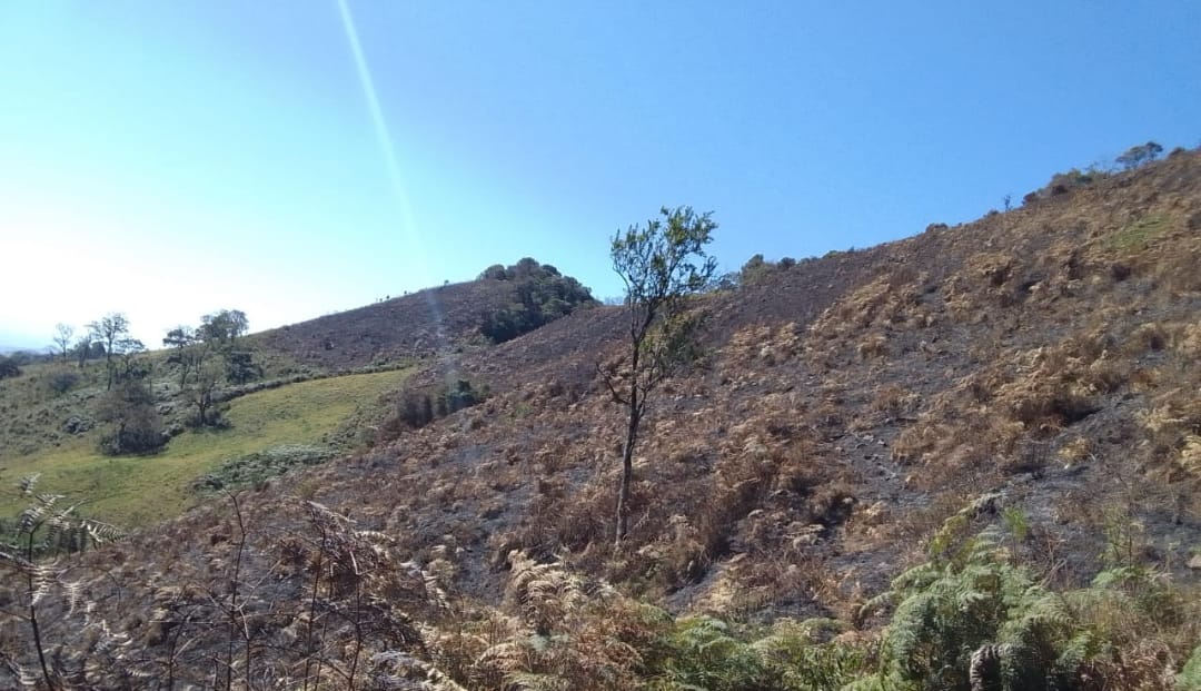 Dona de fazenda é multada por atear fogo em pasto da própria fazenda