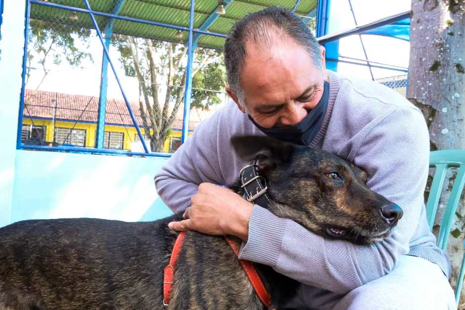 Ainda restam 130 vagas para a 24ª fase do programa Meu Pet Feliz