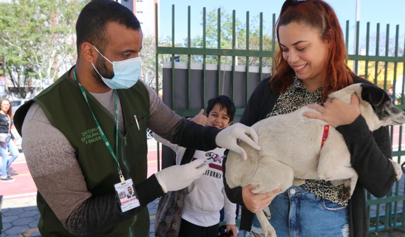 Servidor aplica vacina antirrábica em cão no colo de tutora.