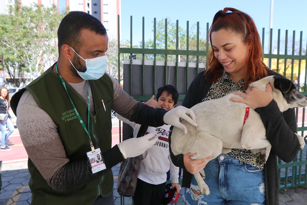 Servidor aplica vacina antirrábica em cão no colo de tutora.