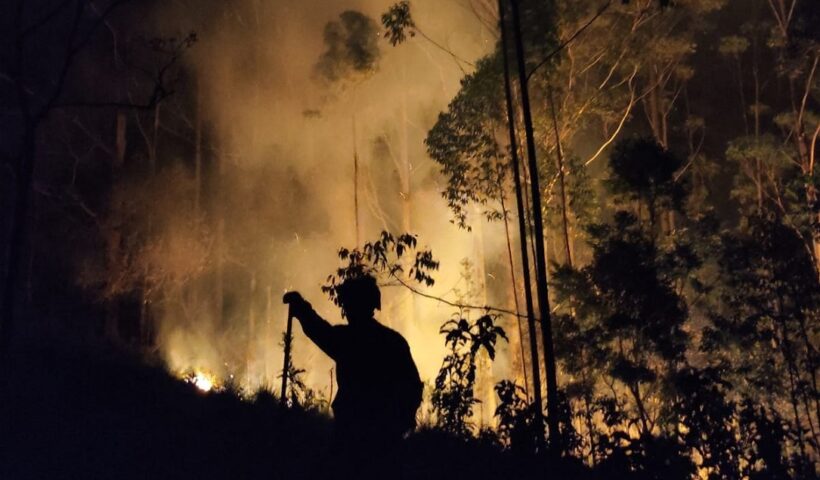 Incêndio destrói 20.000m² em São Francisco Xavier