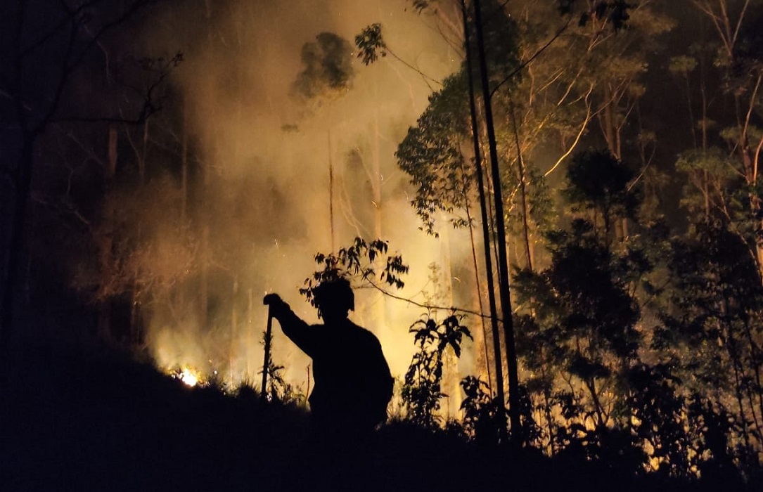 Incêndio destrói 20.000m² em São Francisco Xavier