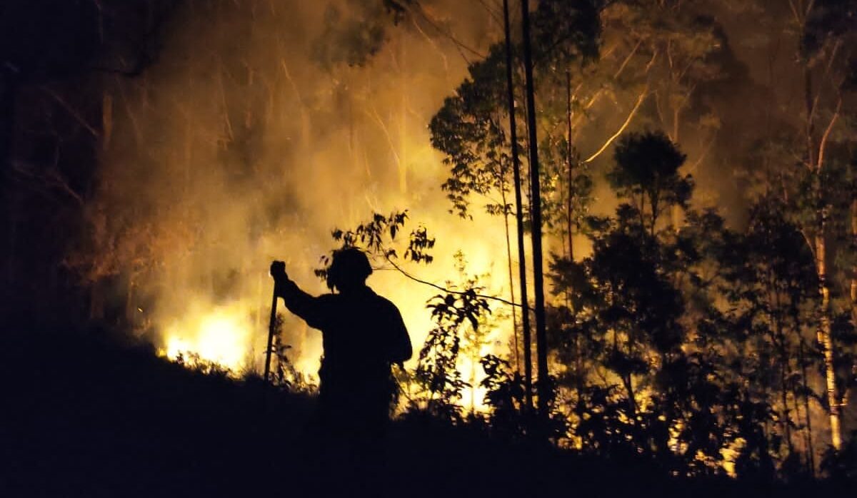 Incêndio destrói 20.000m² em São Francisco Xavier