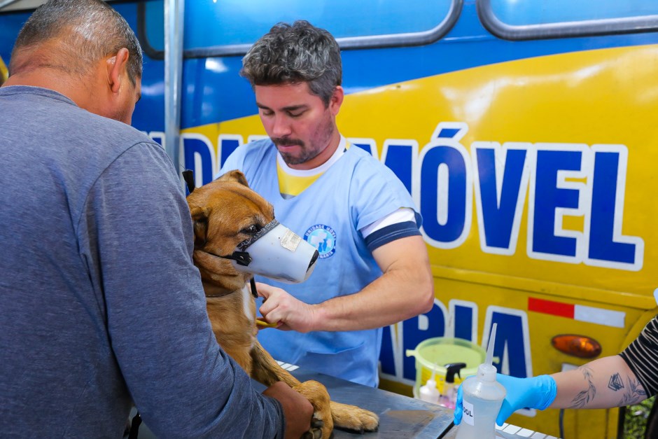 Unidade do Castramóvel estará no Campo dos Alemães neste domingo