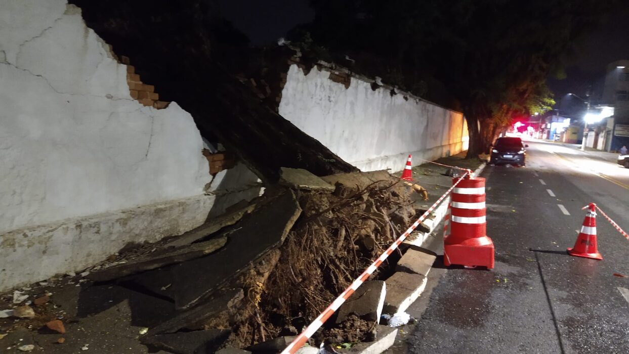 Chuva forte e ventos intensos causam danos em Jacareí