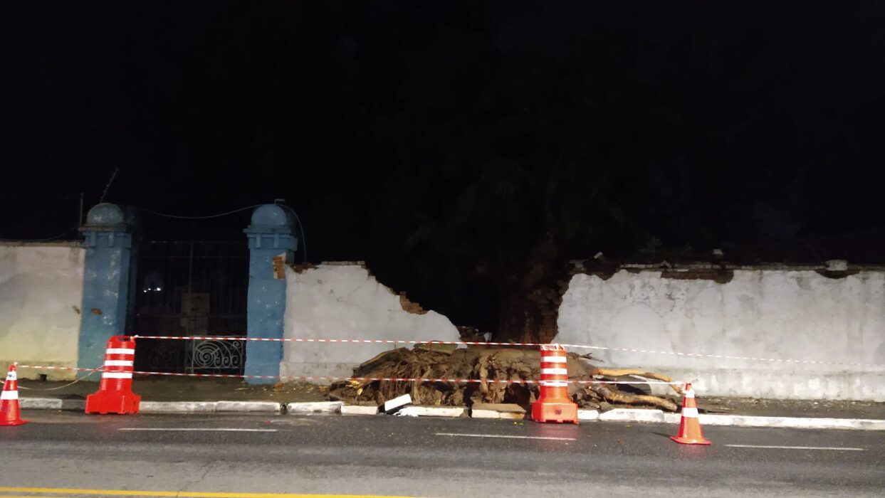 Chuva forte e ventos intensos causam danos em Jacareí