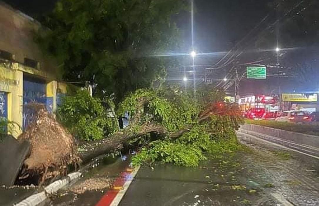 Forte chuva causa danos em Taubaté