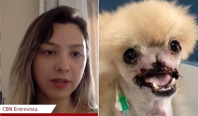 Sofia Albuquerque, tutora do cão fox que está ao lado em foto. Luta para viver