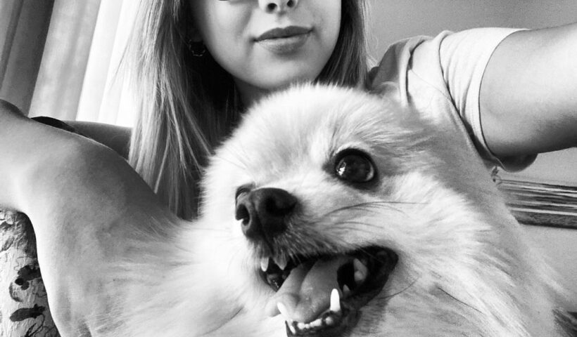 Cãozinho Fox morre após 16 dias de luta pela vida