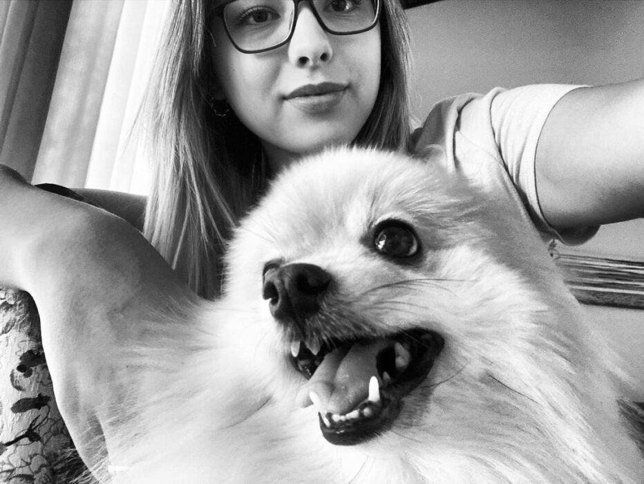 Cãozinho Fox morre após 16 dias de luta pela vida