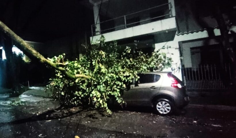 Árvore caída sobre veículo em São José dos Campos. Cidades do Vale do Paraíba registram falta de energia elétrica e fornecimento de água