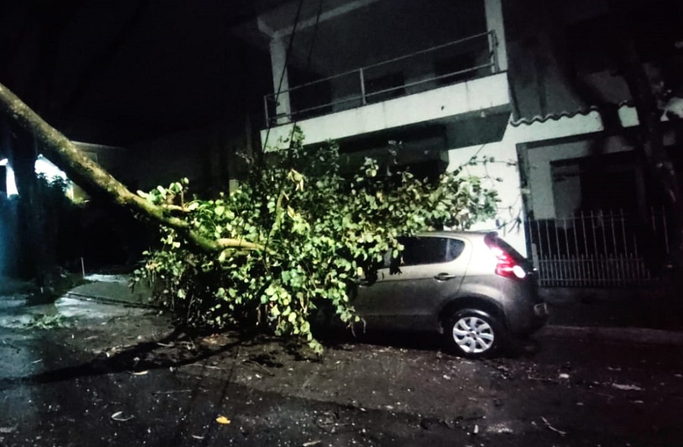 Árvore caída sobre veículo em São José dos Campos.