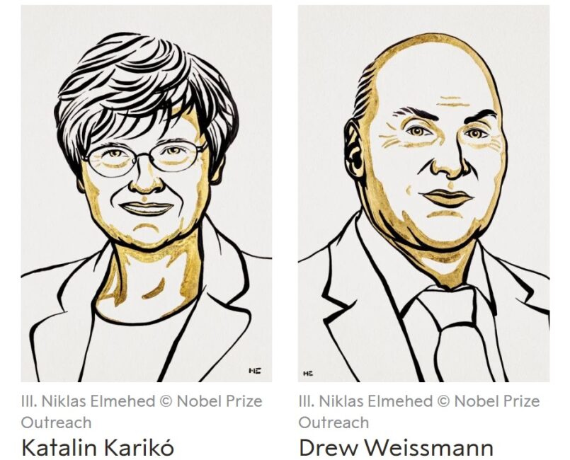 Caricatura dos pesquisadores Katalin Karikó e Drew Weissmann, vencedores do Prêmio Nobel de medicina, 2023