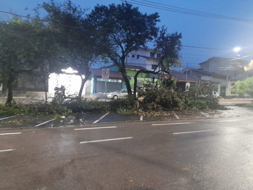 Árvores caídas em sjc