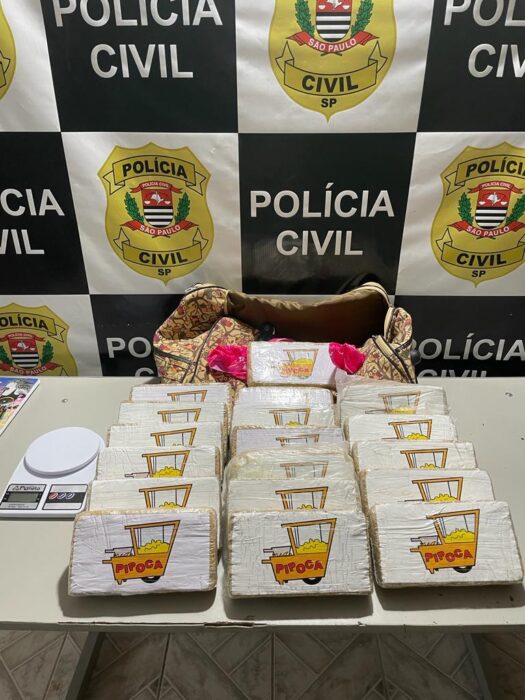 Homem é preso com tijolos de cocaína em Lorena