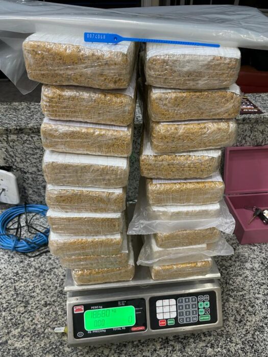 Homem é preso com tijolos de cocaína em Lorena
