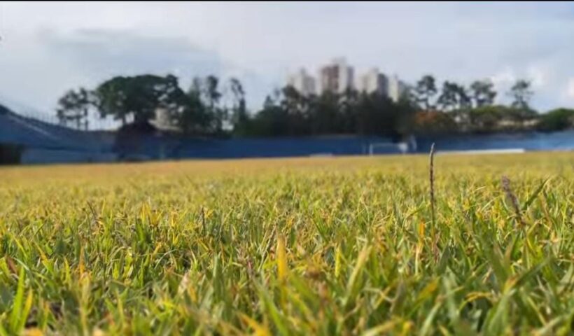 Em detalhe, o gramado do estádio Joaquinzão, que passará por um troca total nos próximos meses