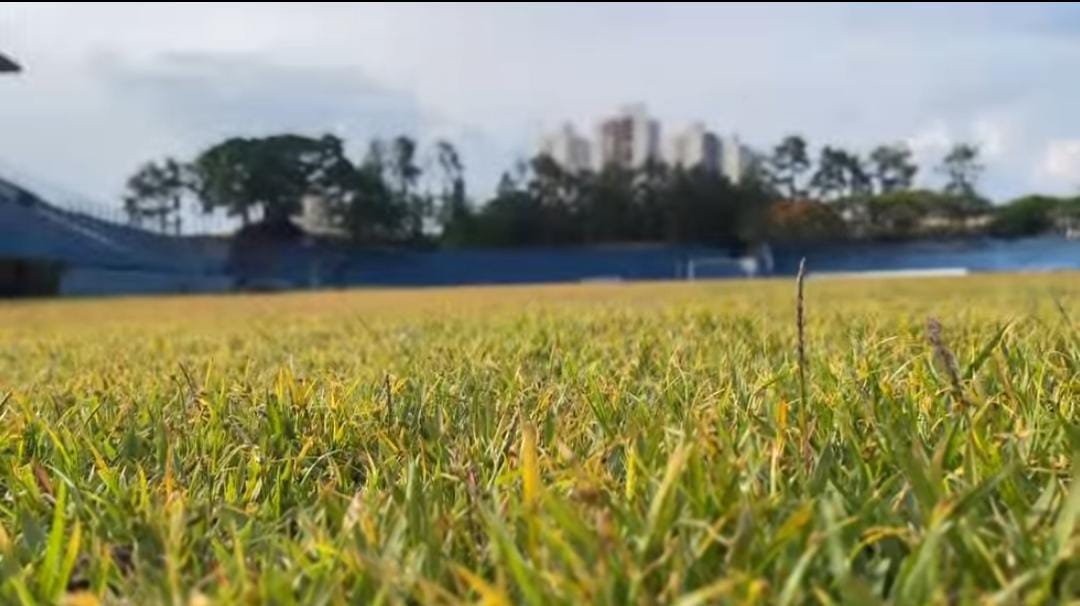 Em detalhe, o gramado do estádio Joaquinzão, que passará por um troca total nos próximos meses