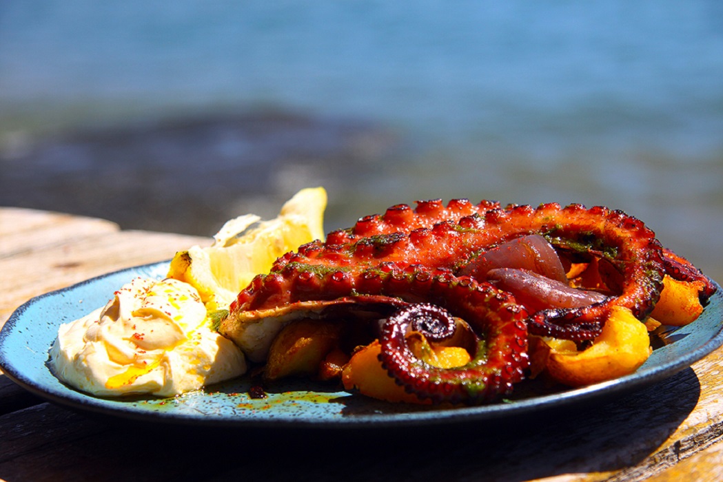 Festival Gastronômico Sabores da Praia acontece em Ilhabela