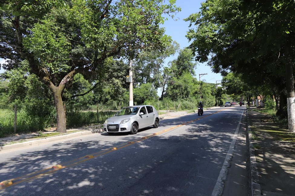 Av. Malek Assad