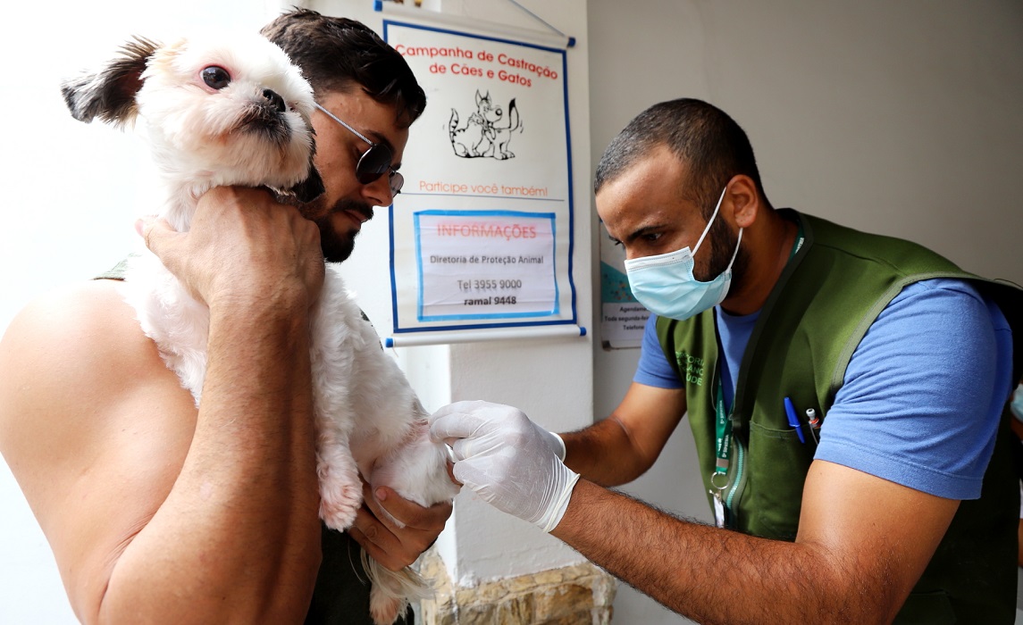 Veterinário aplica vacina em cão segurado pelo tutor. Vacinação antirrábica para cães e gatos acontece neste final de semana em Jacareí