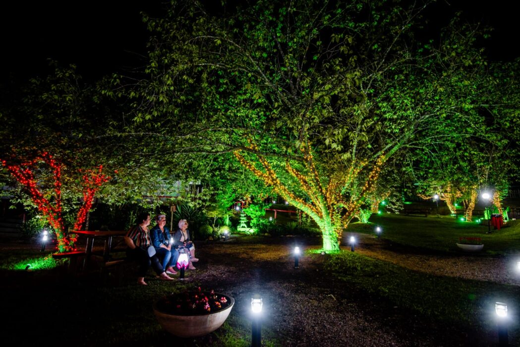 Parque da Cerejeira recebe "Natal Iluminado"