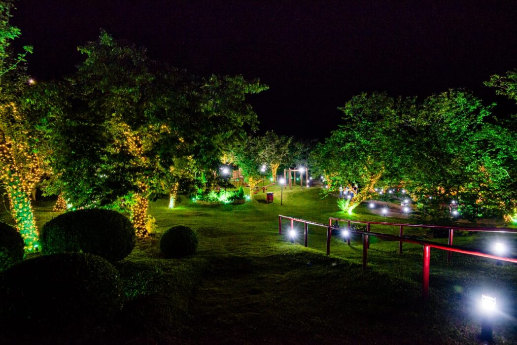 Parque da Cerejeira recebe "Natal Iluminado"