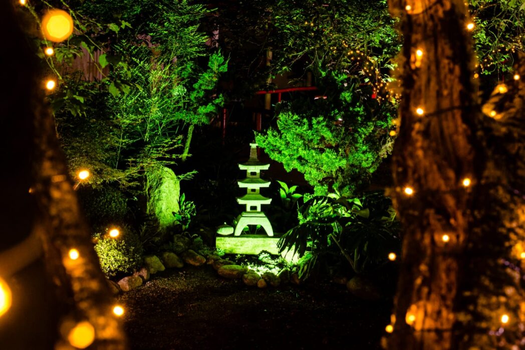 Parque da Cerejeira recebe "Natal Iluminado"