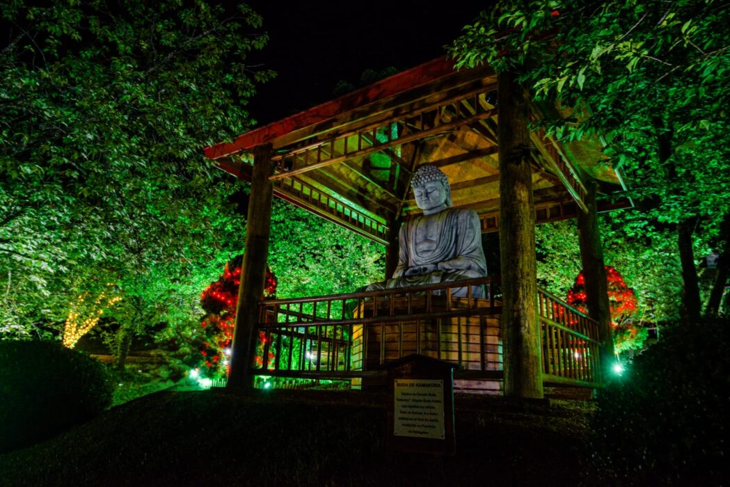 Parque da Cerejeira recebe "Natal Iluminado"