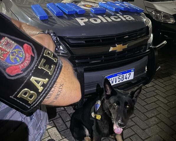 Cão farejador da PM que localizou drogas em Lorena
