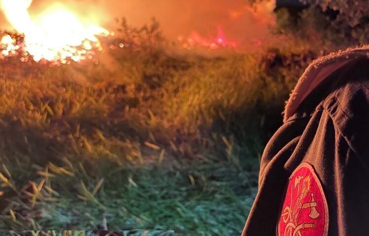 bombeiros apagam fogo em mata do dcta. Incêndio de grandes proporções em área do DCTA foi provocado por queda de balão