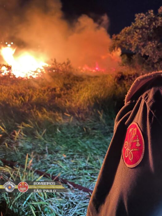 bombeiros apagam fogo em mata do dcta. Incêndio de grandes proporções em área do DCTA foi provocado por queda de balão