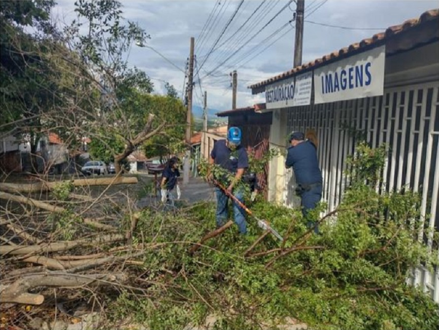 Chuva no dia de Natal provoca quedas de árvores e danos em residências em Cruzeiro