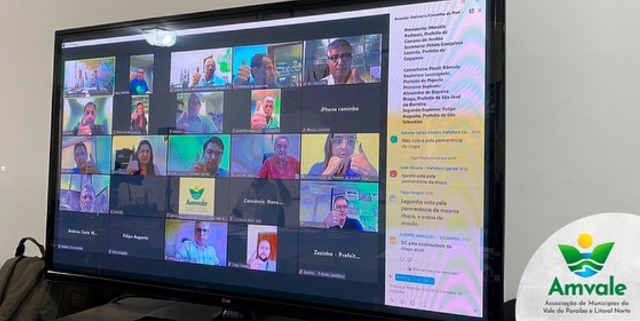 tela de computador durante reunião virtual da amvale