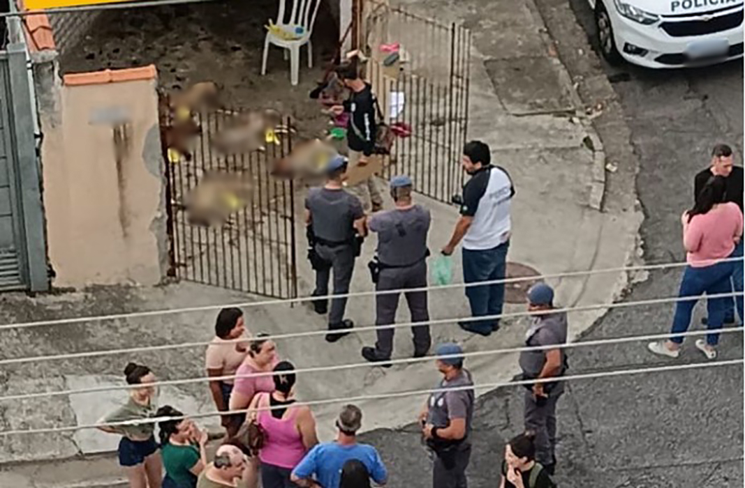 Cachorros são mortos envenenados em SJC