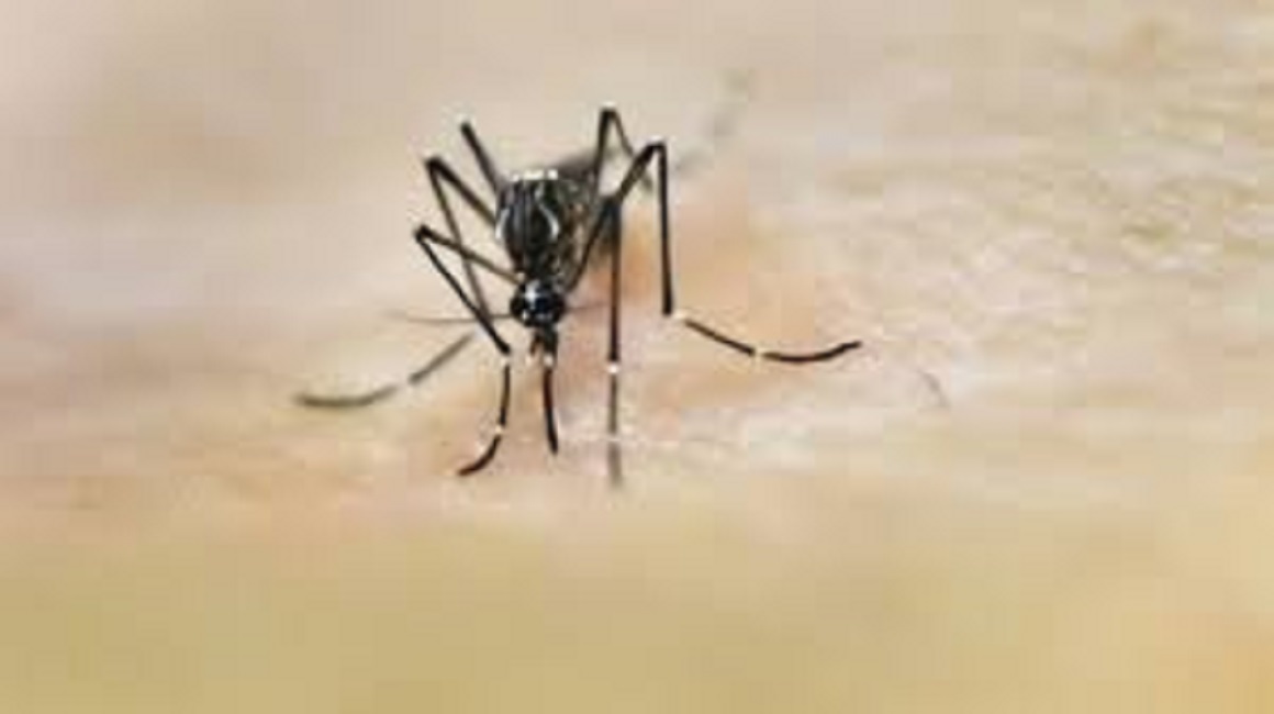 Jacareí confirma segunda morte por dengue em 2024